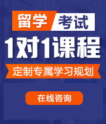 欧美网站射精留学考试一对一精品课